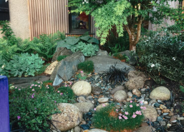 creation-d-un-ponton-t-o-l-atelier-des-jardins-img_14e155880b8eb9e6_14-4867-1-a69d415