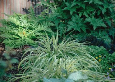 creation-d-un-ponton-t-o-l-atelier-des-jardins-img_49a144260b8eb963_14-8442-1-6bf3d8c