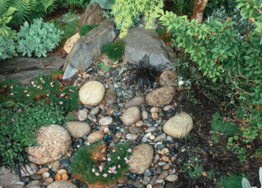 creation-d-un-ponton-t-o-l-atelier-des-jardins-img_f9b199ec0b8eba0d_14-4867-1-b4af0a1