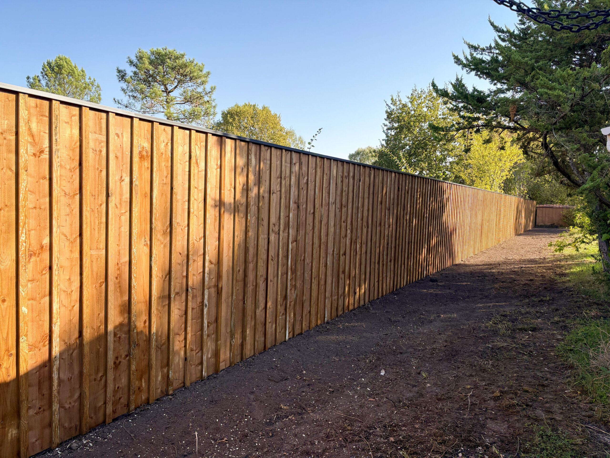 Clôture volige couvre-joint pin maritime en perspective, rénovation jardin Le Taillan-Médoc – TO l'Atelier des Jardins, paysagiste Bordeaux
