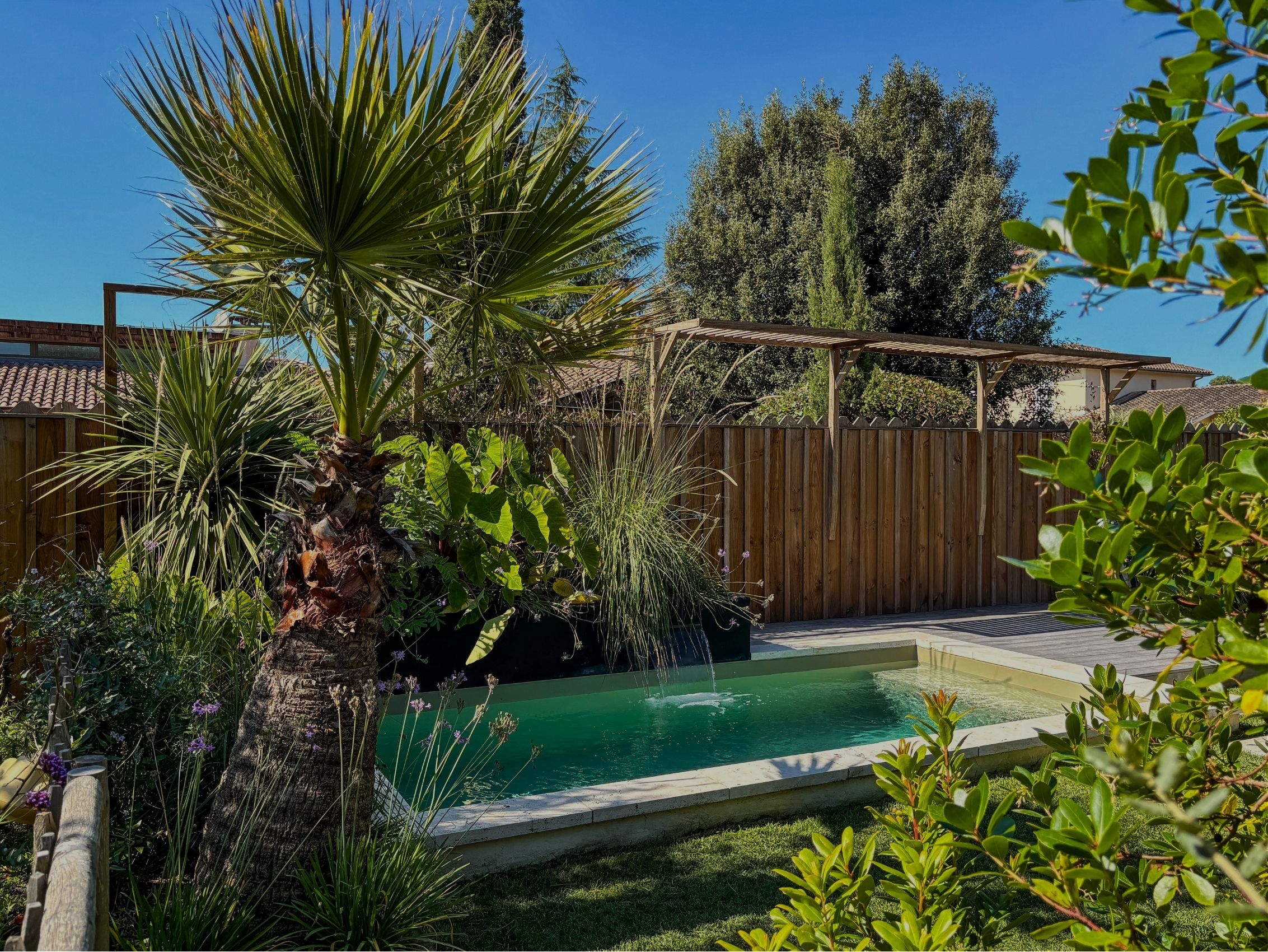 Piscine avec lame d'eau et jardinière plantée dans un jardin exotique avec palmier et pergola bois, création TO L'Atelier des Jardins, paysagiste à Bordeaux.